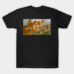 Grevillea T-Shirt